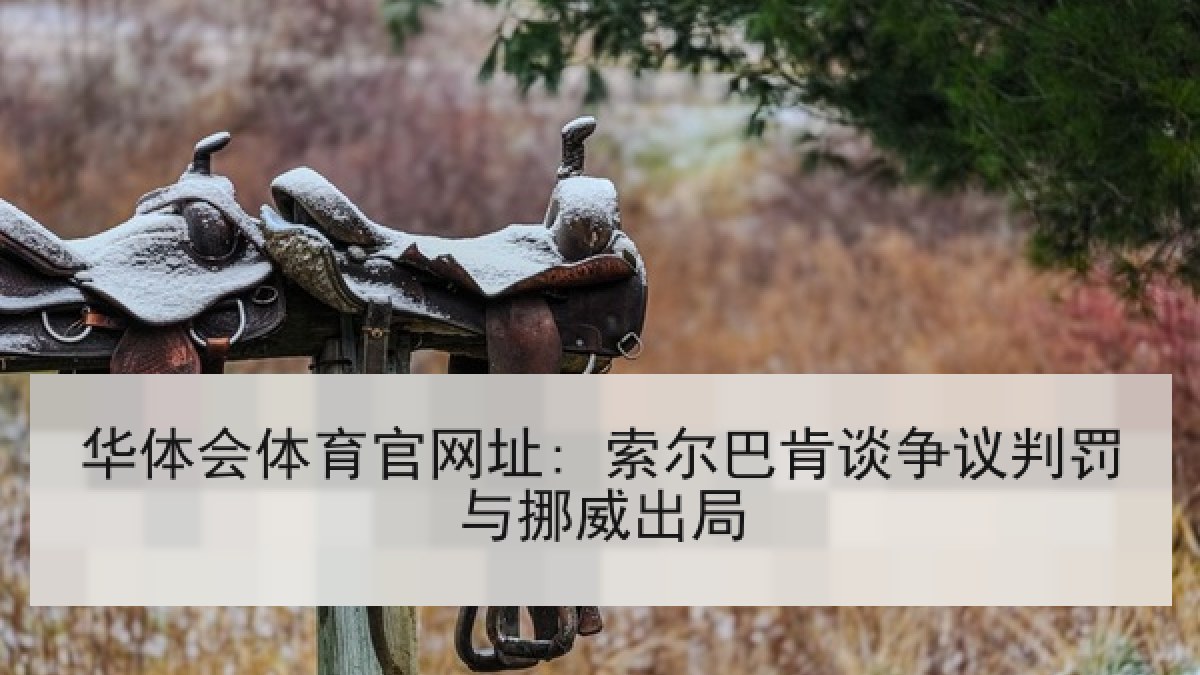 华体会体育官网址: 索尔巴肯谈争议判罚与挪威出局