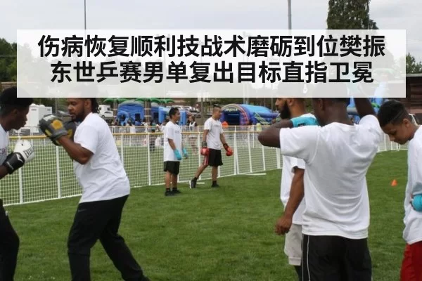 伤病恢复顺利技战术磨砺到位樊振东世乒赛男单复出目标直指卫冕