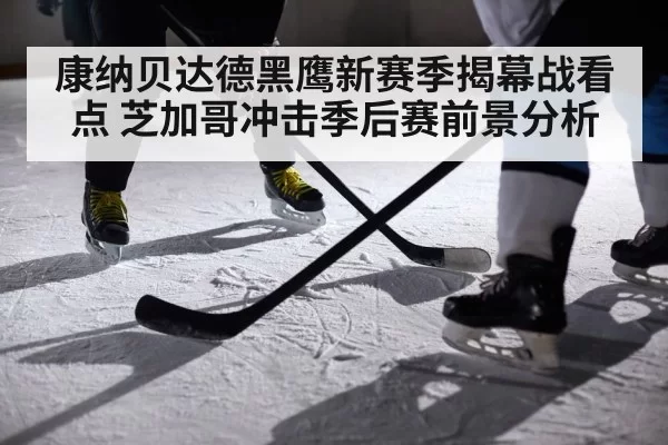 康纳贝达德黑鹰新赛季揭幕战看点 芝加哥冲击季后赛前景分析