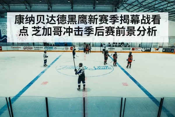 hockey game arena